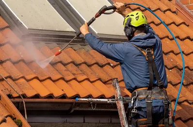 Démoussage et hydrofuge de toiture à Vorey